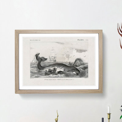 Hunting a Bowhead Whale by Charles dOrbigny - Framed Print