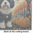 Havanese Fall Glass Cutting Board Large
