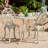 Messer 2 - Person Patio Dining Set Round Table-961921188