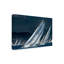 Art sur toile «bolle course», Marc Pelissier-109226460