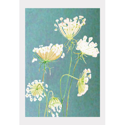 Queen Anne's Lace On Teal Painting by Jessica Hollander