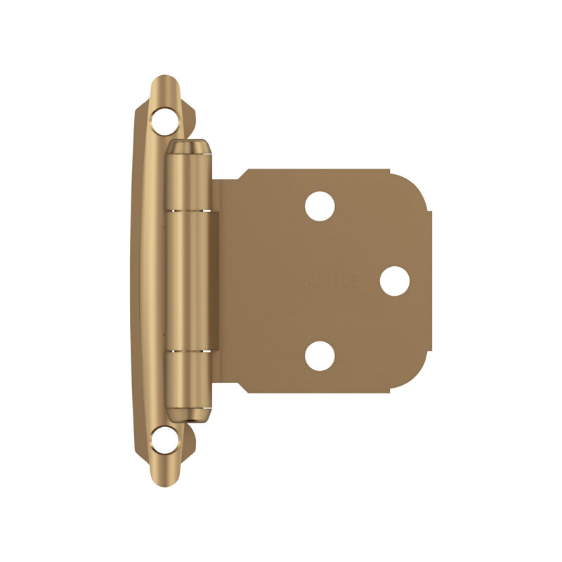 Face Mount Overlay Hinge, Champagne Bronze