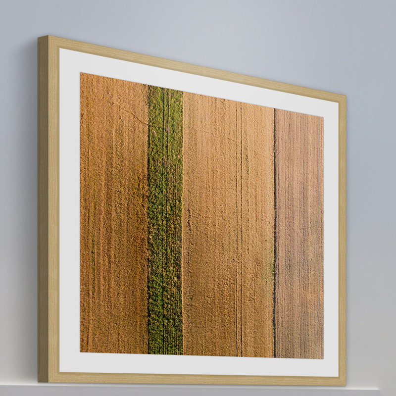 « seeded land » par karolis janulis, reproduction d’art encadrée, H 24 po x l 24 po