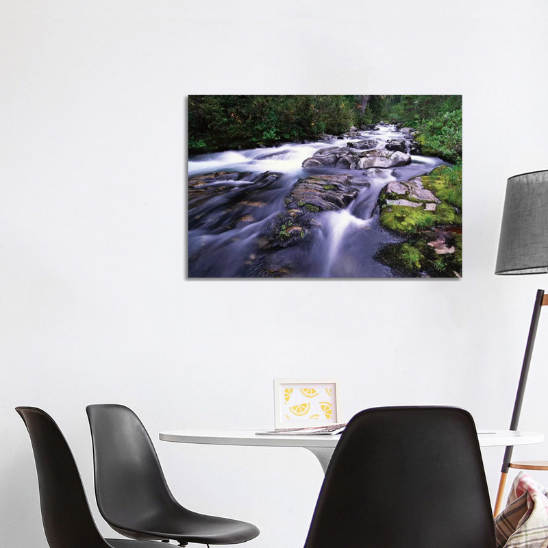 Paradise River, Mt Rainier National Park, Washington by Tim Fitzharris - Wrapped Canvas Gallery-Wrapped Canvas Giclée