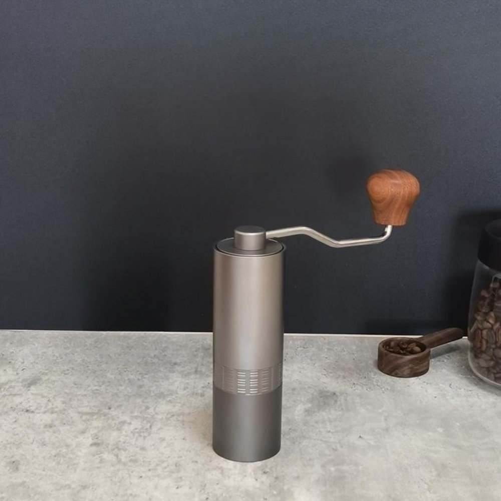 SC0GO Manual Burr Coffee Grinder Wayfair