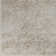 Oriental Area Rug