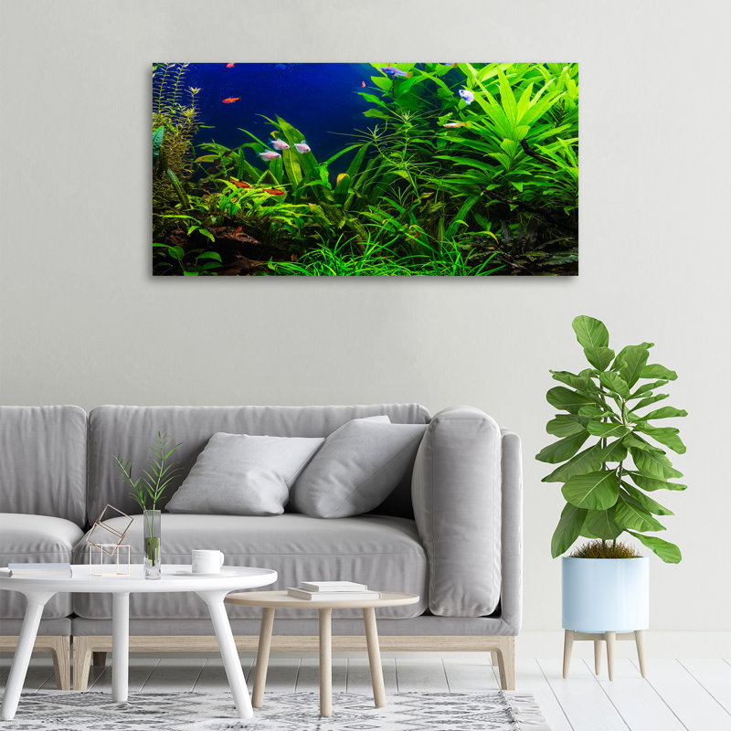 Fish In The Aquarium - No Frame Print on Canvas
