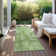  Caseville Area Rug