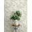 Thicket Sage Forest Wallpaper-299960989