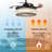Vandela 42"  Crystal Ceiling Fan with Remote Control, and Reverse Function