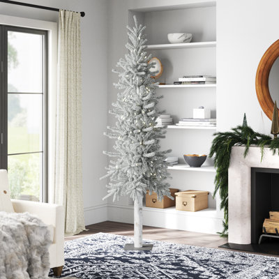 7' Lighted Pine Christmas Tree
