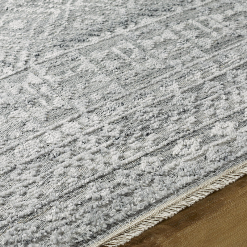 Roiza Southwestern Indoor / Outdoor Rug, Rectangle 2' x 3'