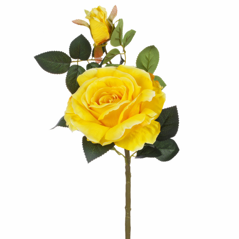 Fleurs et roses, Jaune
