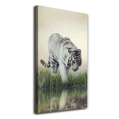White Tiger - Wrapped Canvas Print