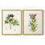 «Pretty Pink Botanicals III», reproduction encadrée de qualité supérieure - prête à être accrochée - aucun clou requis - aucun clou requis-1539855498-1539855508