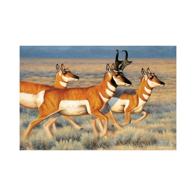 "Pronghorns" par Cynthie Fisher - impression sur toile tendue, H 18 po x l 26 po x P 1,5 po