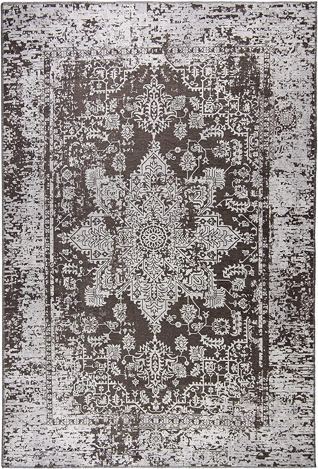 Williston Delray 5' x 7' Rectangle Polypropylene Area Rug in