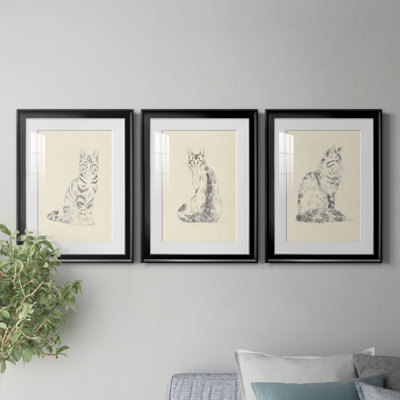 Chat domestique IV - Encadré sous verre acrylique, ensemble de 3, grande décoration murale pour salon