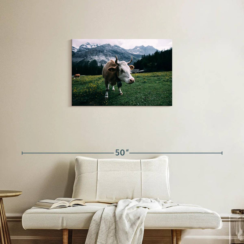 Vache curieuse Brampt, H 20 po x l 30 po