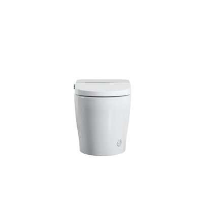 Tankless Smart Toilet With Bidet Built In, One-Piece Bidet Toilet Seat, Auto Flush, Auto Open/Close,Heated Seat, Warm Water And Dry, Adjustable Temp,Remote Control Side Know