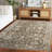 Hazel 504 Performance Oriental Rug-216130238