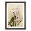 Magnolia Flowers Illustration Tab. 85 by Frederick Sander - Framed Print-55760214-55760219