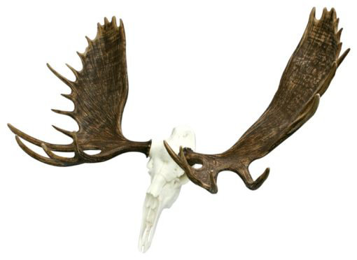 Décoration murale européenne Moose Alaskan