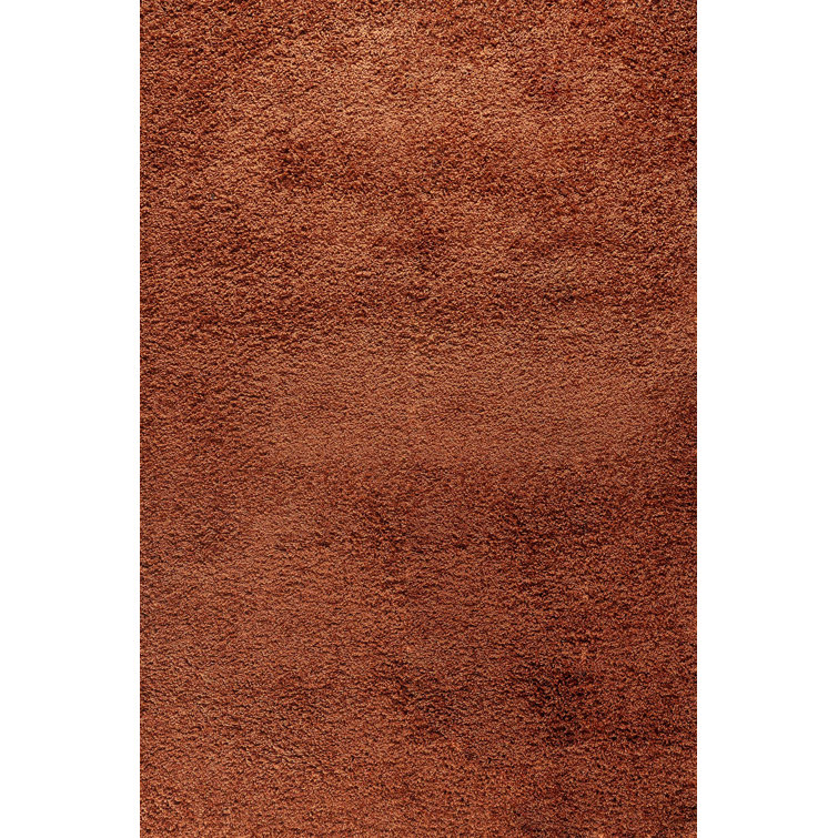 Esterly Solid Colour Shag Area Rug