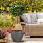 Fibreglass Plant Pot-39265884-39265881