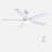 Modern 52" Ceiling Fan with Light and 5 Blades-109078899