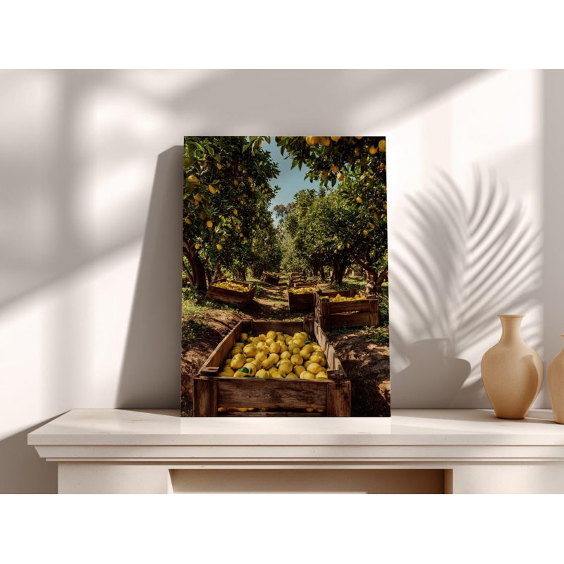 Reproduction sur toile Lemon Grove: photographie d'un verger italien, art mural Sunny Kitchen, H 24 po x l 16 po