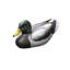 Sculpture Filicia mâle canard colvert