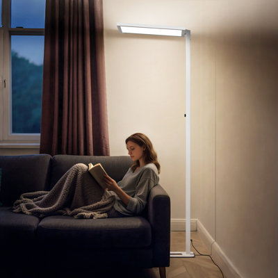 100W LED Dimmable Floor Lamp