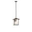 Seneca 1 - Light Pendant