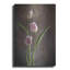 «Tulipes du printemps» par Debra Van S-101670019