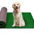 Rawlin Area Rug with Non-Slip Backing-784823480