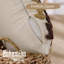 Dartee Throw Pillow Cover-1018518567