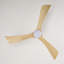 Ventilateur de plafond 52 po avec lumières-903751166-903751153