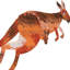 Abc Kangaroo - Painting on Canvas-1318182268