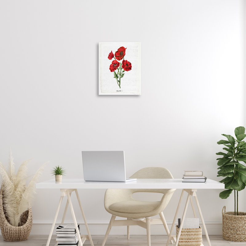 «Red Poppy Study», art mural par Danielle Murray, H 16 po x l 20 po