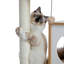 Arbre à chat 35 po Stonecrest-1293015650