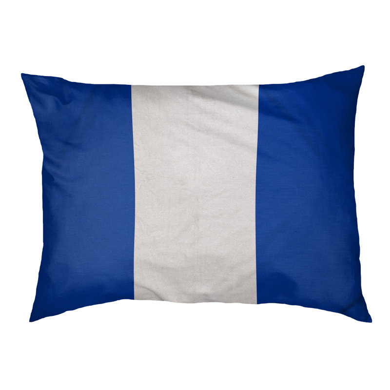 Coussin pour chien hockey Las Vegas, Moyen (H 14 po x l 40 po x P 30 po), Bleu / Blanc / Bleu