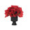 Amaryllis, Red, Ceramic Vase, 15wx15dx14h