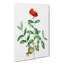 Pomegranate Tree Branch by Pierre-Joseph Redoute - Wrapped Canvas-55322579