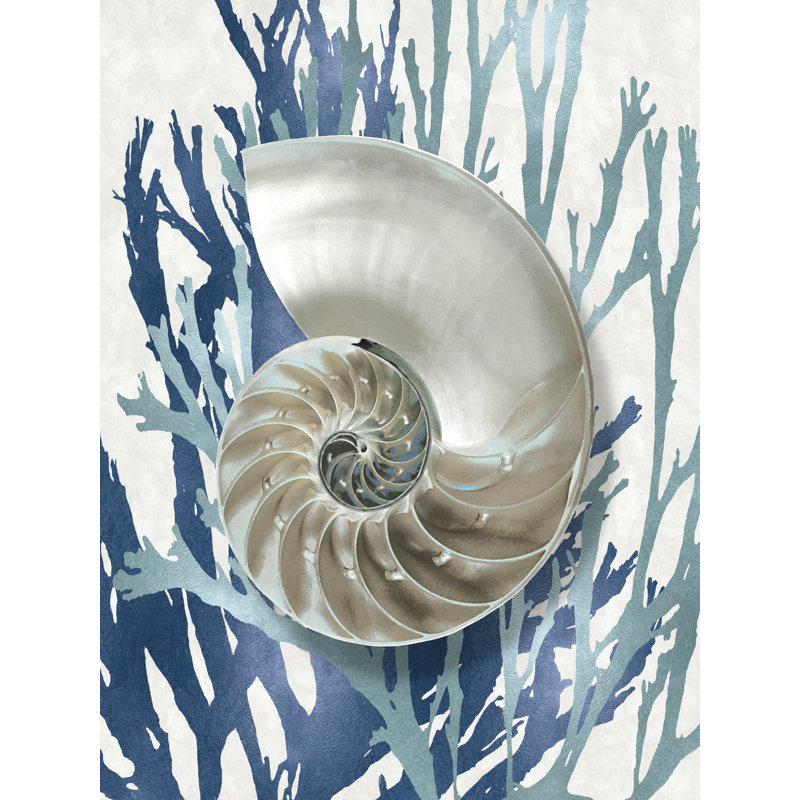 Coquillage corail bleu turquoise II - impression sur toile tendue, H 24 po x l 18 po