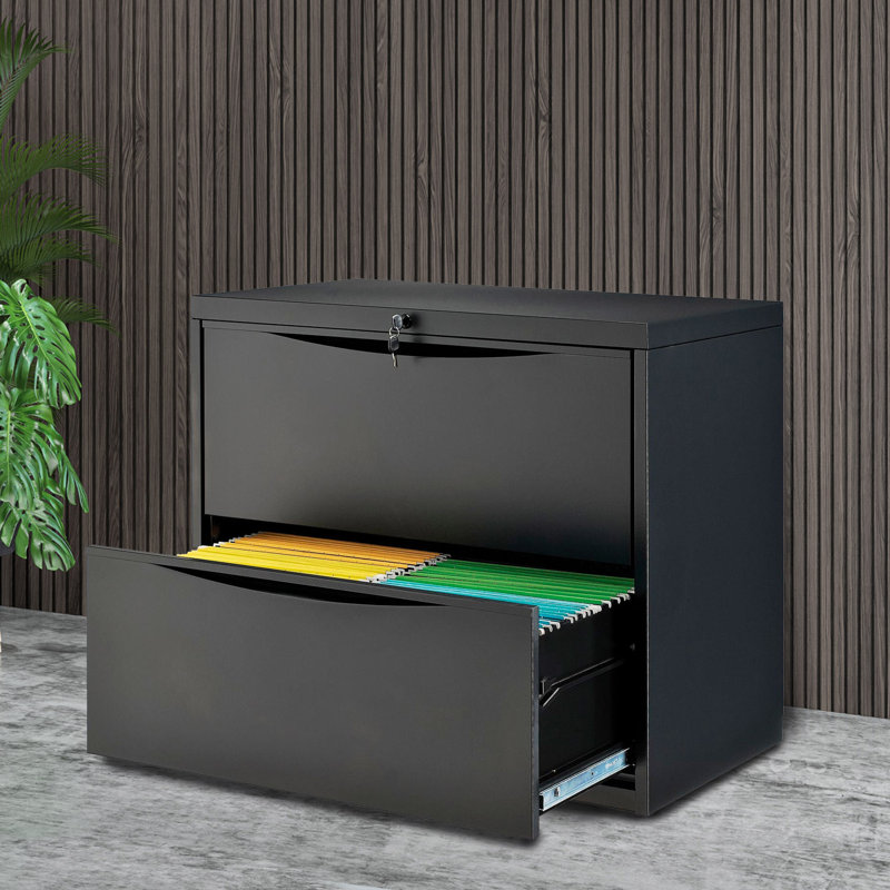 Black 30'' Wide 2-Drawer Lockable Lateral File Cabinet