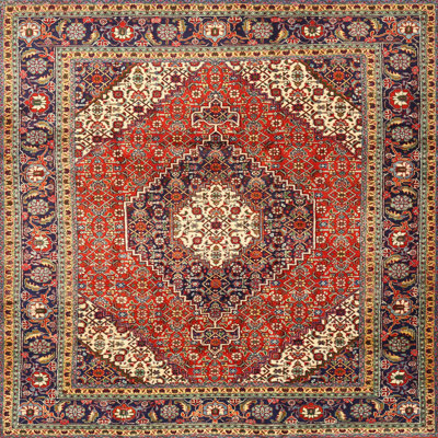 Southwestern Indoor Rug