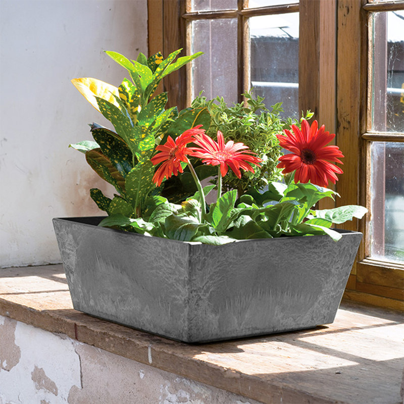 Pot à fleurs à arrosage automatique Wendover, Gris, H 5,25 po x l 11,5 po x P 11,5 po