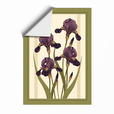 Purple Irises Study Botanical - Framed Print