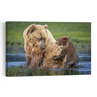 Mama Bear And Cub Contemporary Wall Art Print